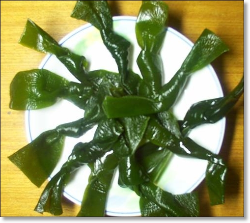 海带属褐藻门,海带属植物. 又名昆布,海带菜,江白菜.